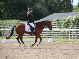 IMG_0987_web